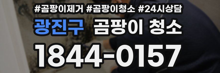 광진구 곰팡이 청소