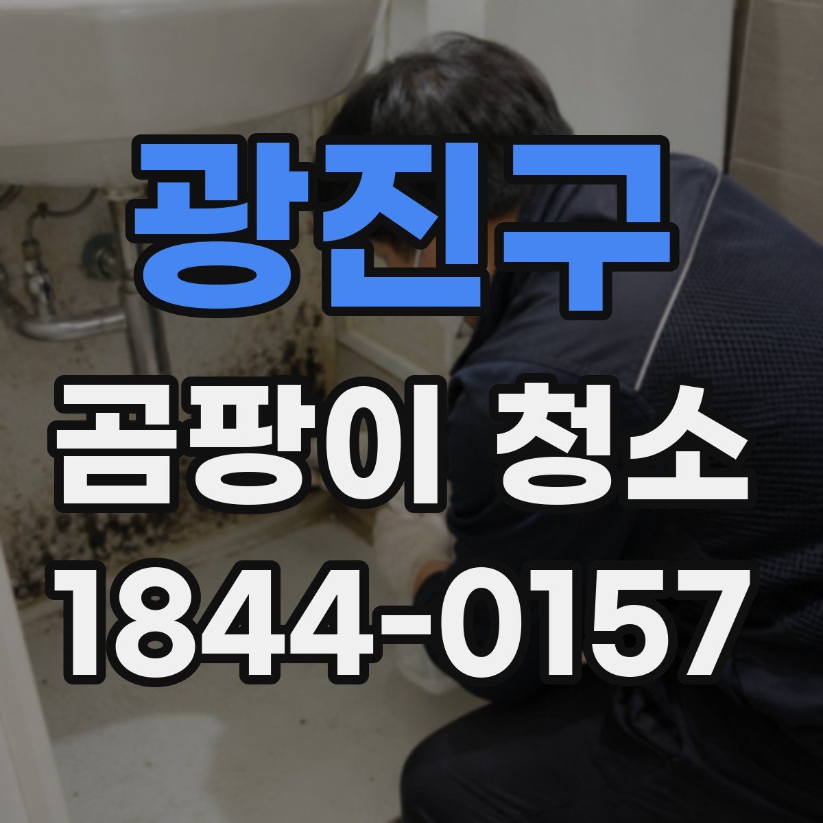 광진구 곰팡이 청소