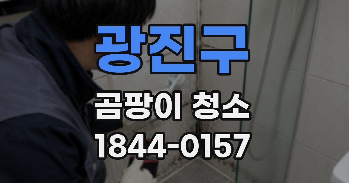 광진구 곰팡이 청소