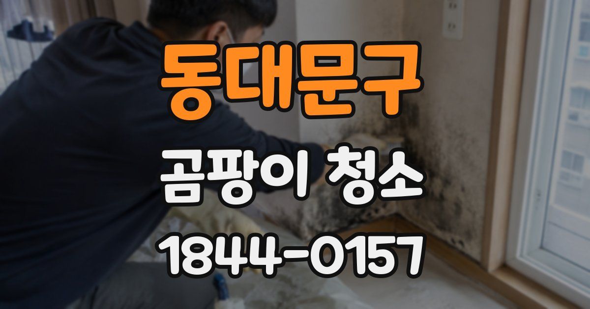 동대문구 곰팡이 청소