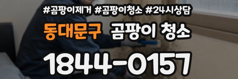 동대문구 곰팡이 청소
