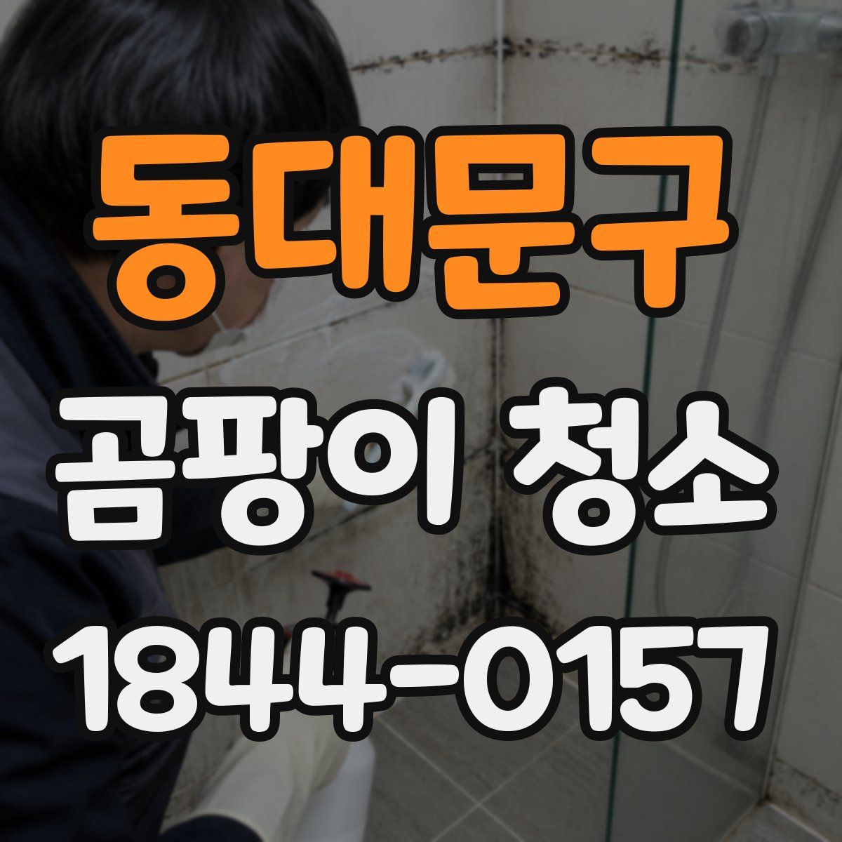 동대문구 곰팡이 청소
