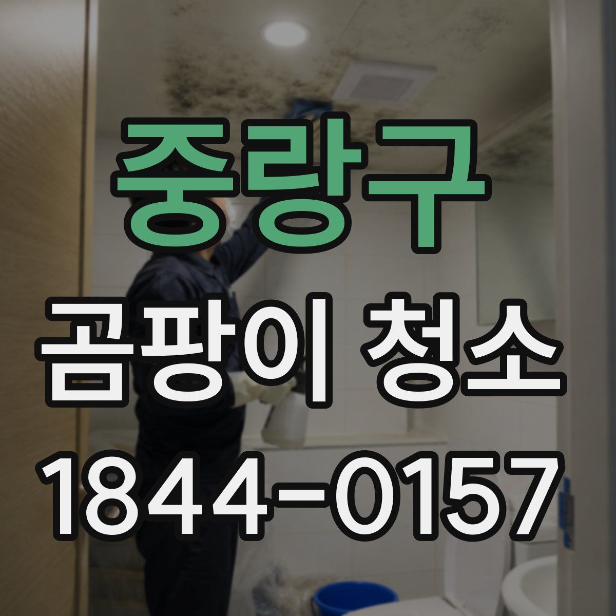 중랑구 곰팡이 청소