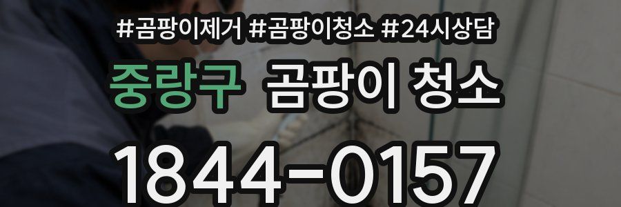 중랑구 곰팡이 청소