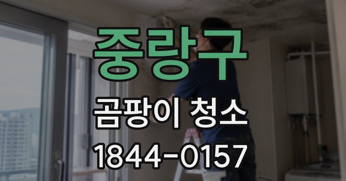 중랑구 곰팡이 청소
