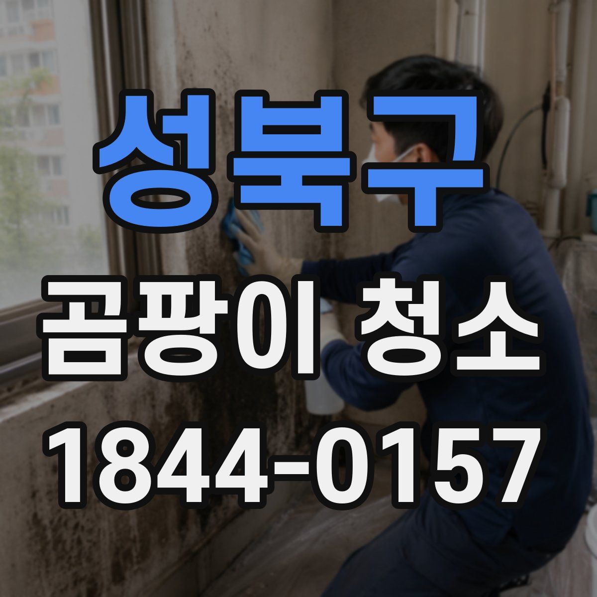 성북구 곰팡이 청소