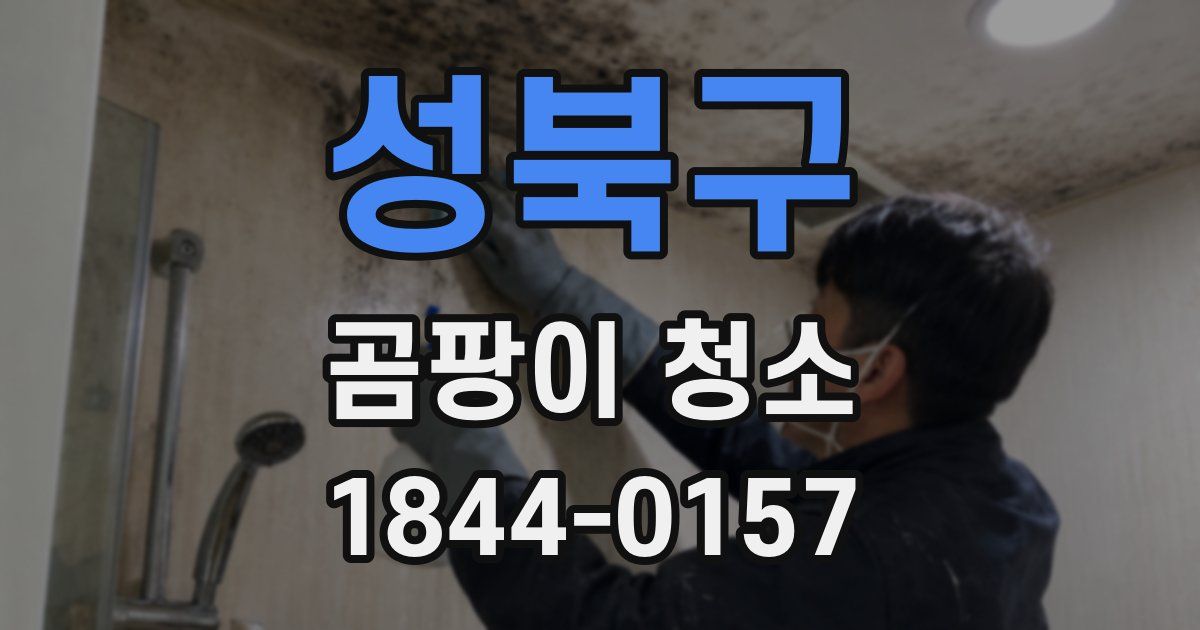 성북구 곰팡이 청소