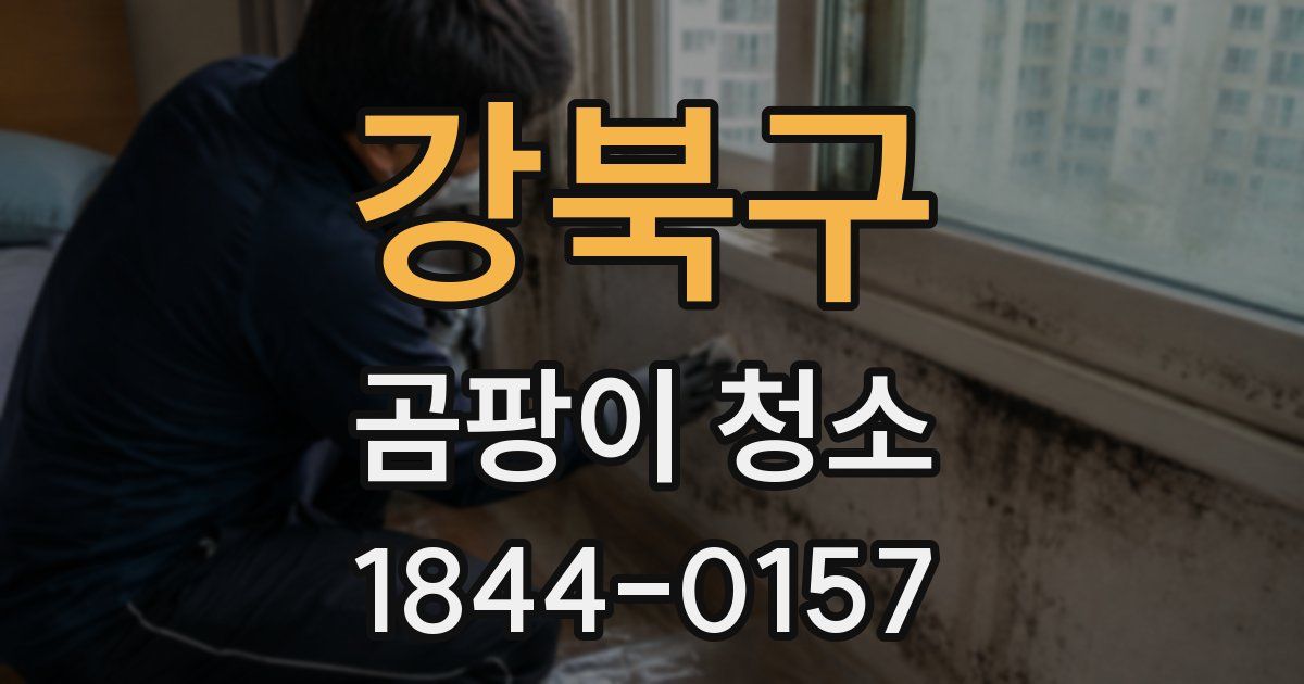 강북구 곰팡이 청소