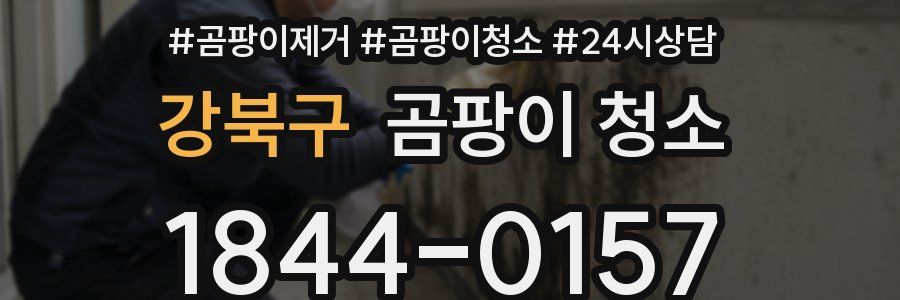 강북구 곰팡이 청소
