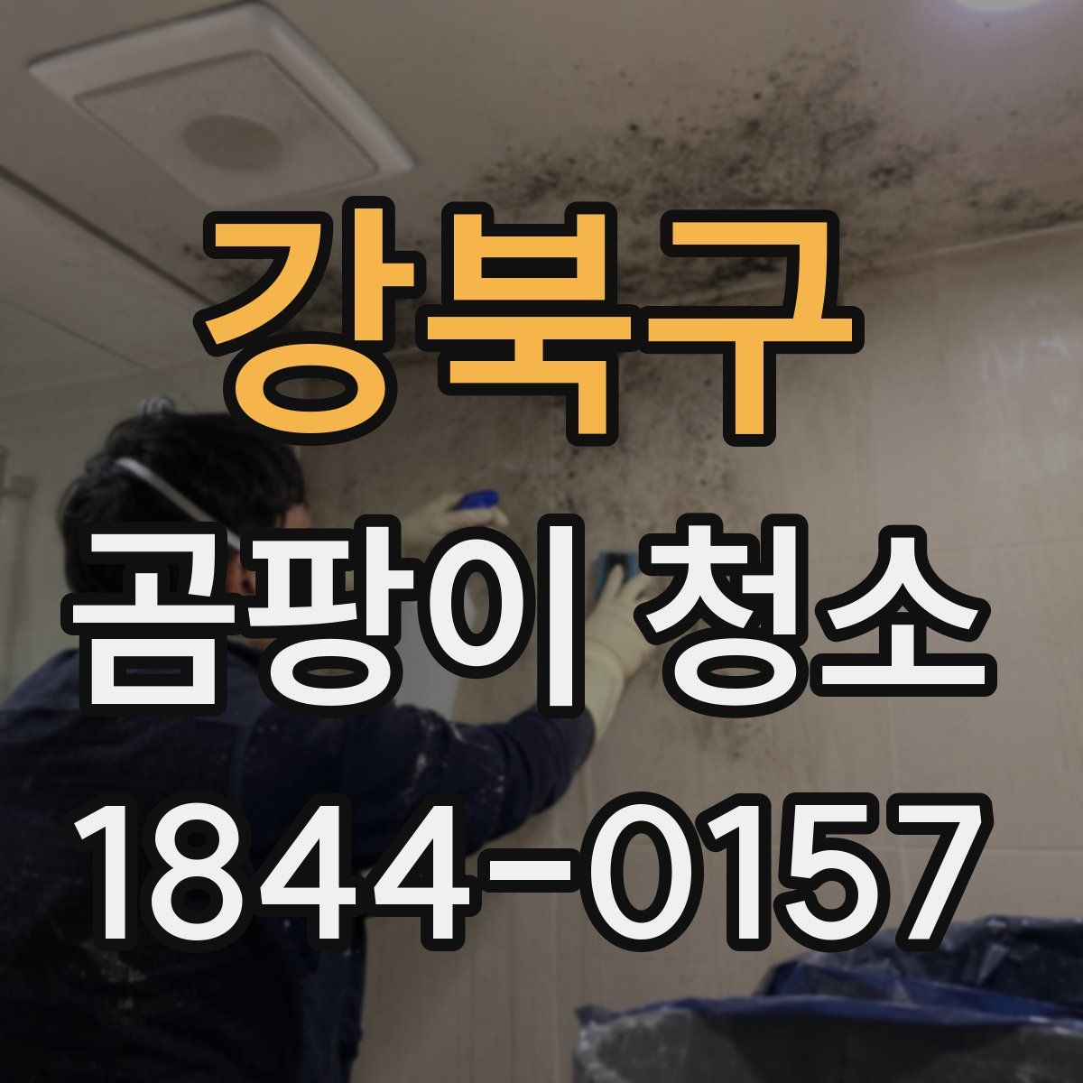 강북구 곰팡이 청소