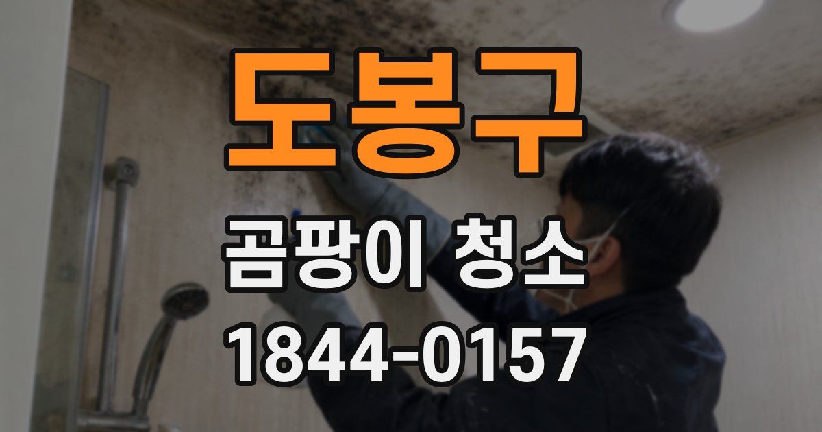 도봉구 곰팡이 청소