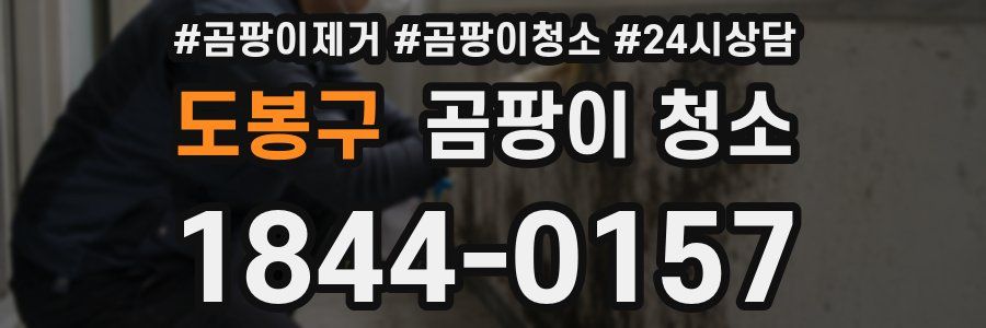 도봉구 곰팡이 청소