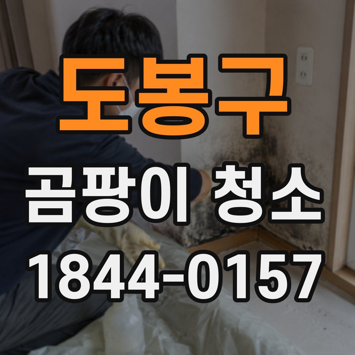 도봉구 곰팡이 청소