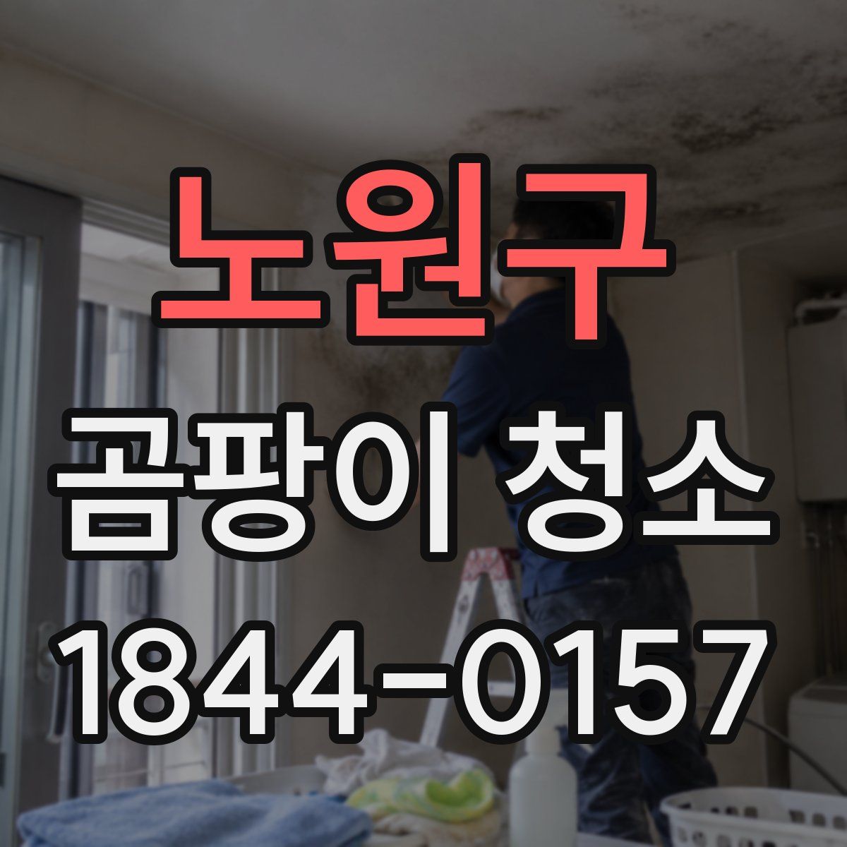 노원구 곰팡이 청소