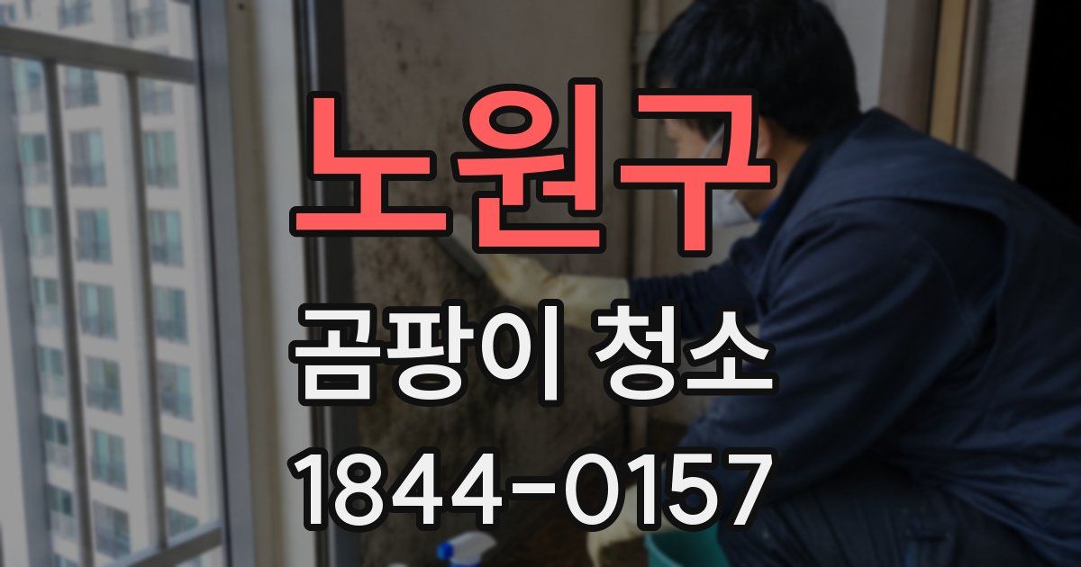 노원구 곰팡이 청소