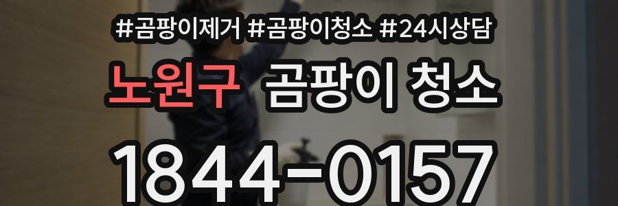 노원구 곰팡이 청소