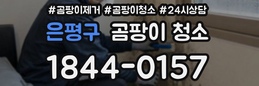 은평구 곰팡이 청소