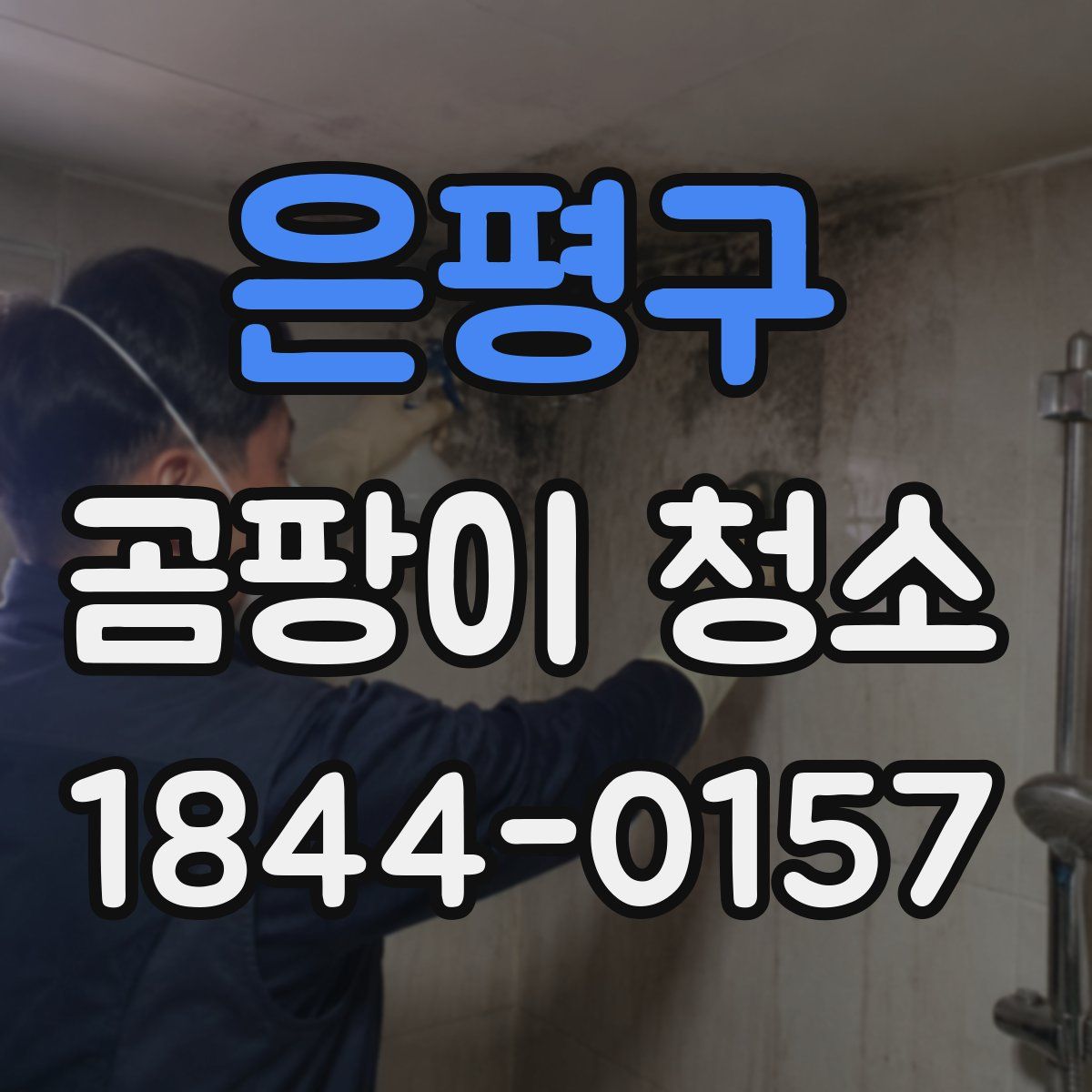 은평구 곰팡이 청소