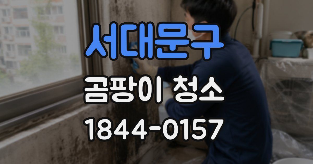 서대문구 곰팡이 청소