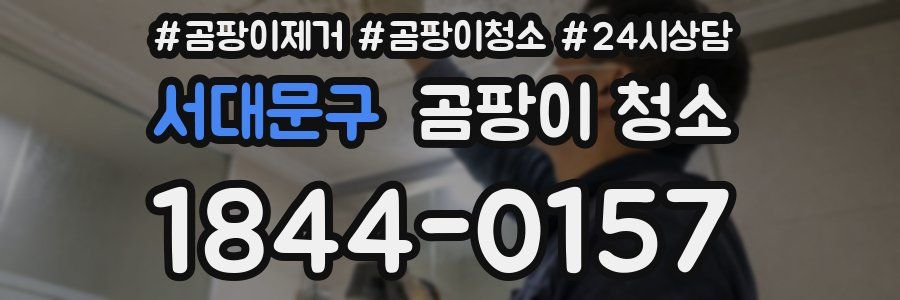 서대문구 곰팡이 청소