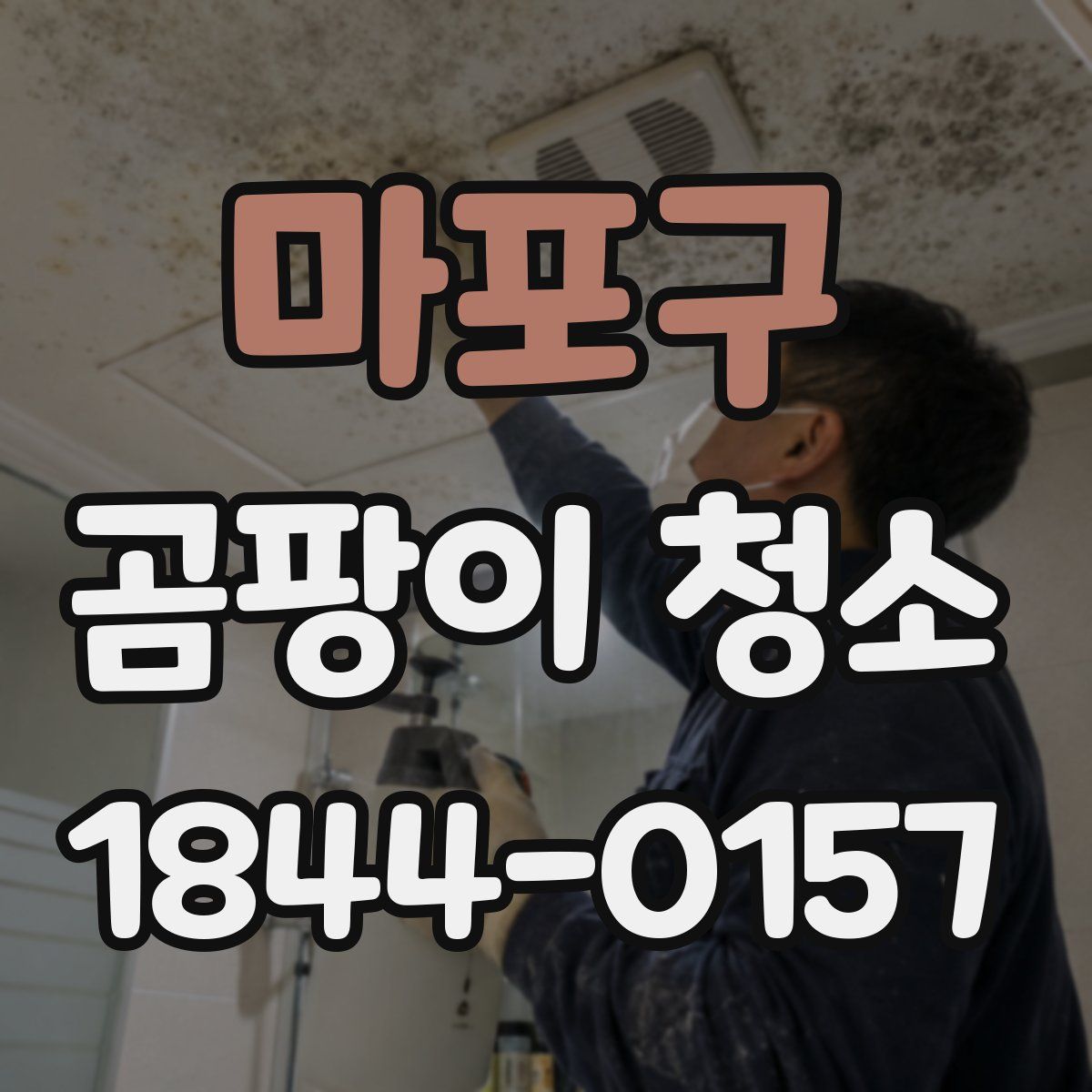 마포구 곰팡이 청소