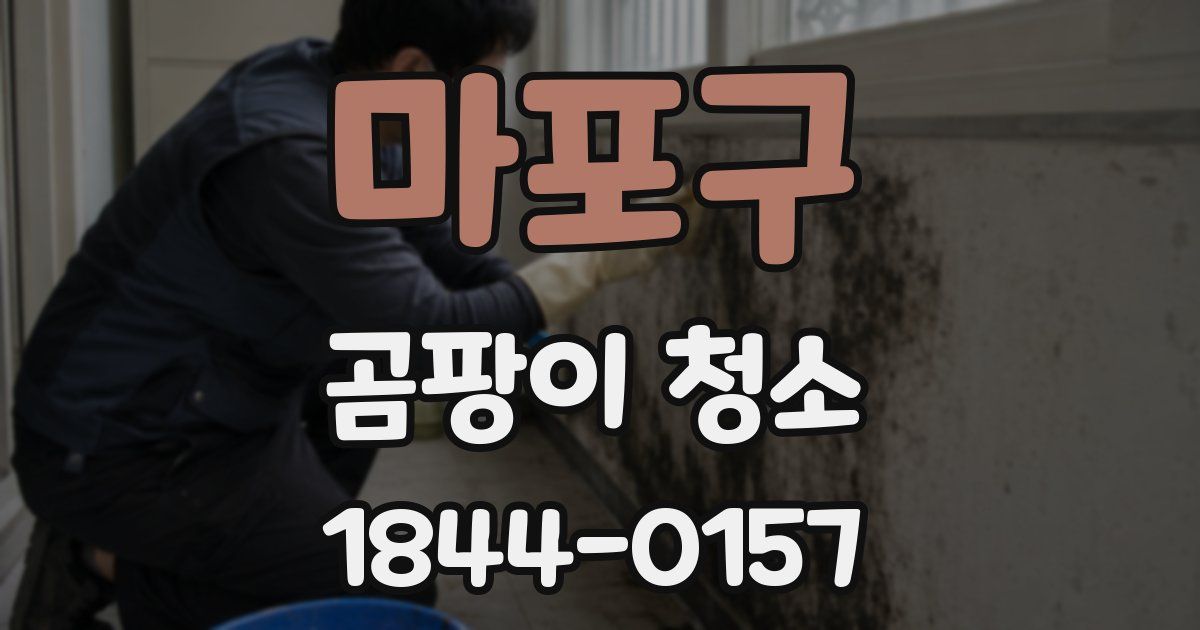마포구 곰팡이 청소