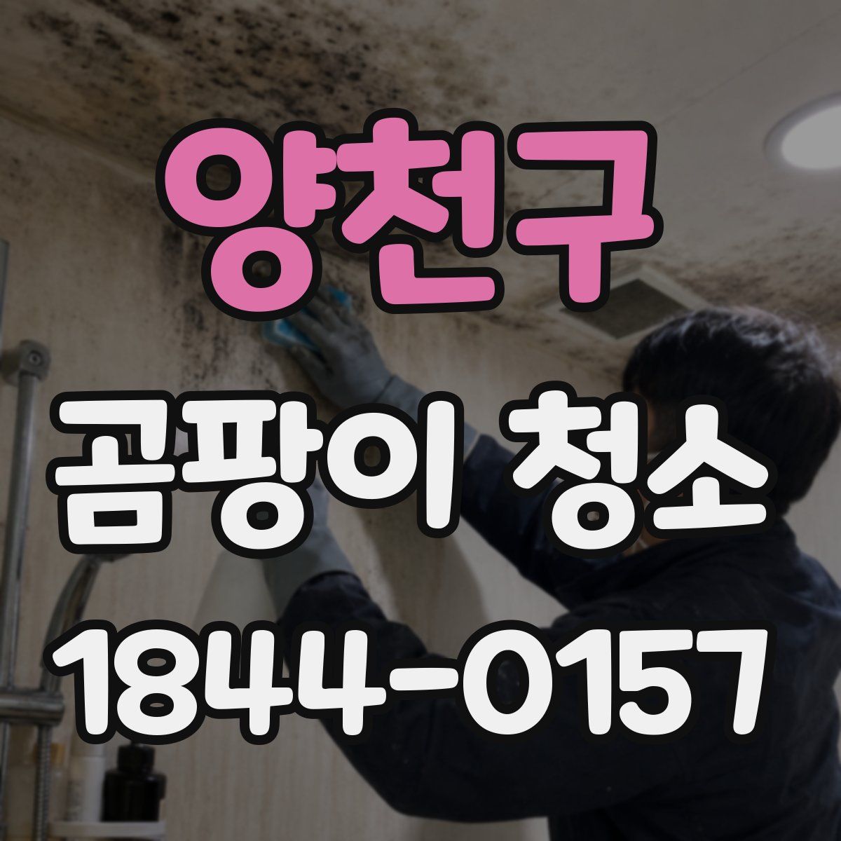 양천구 곰팡이 청소