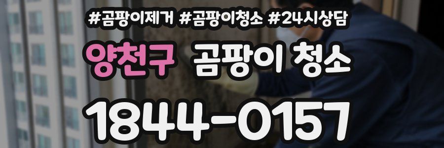 양천구 곰팡이 청소