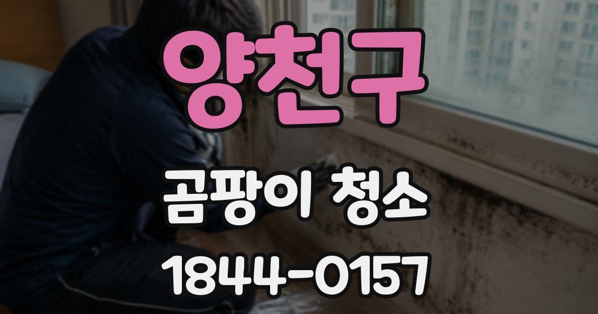 양천구 곰팡이 청소