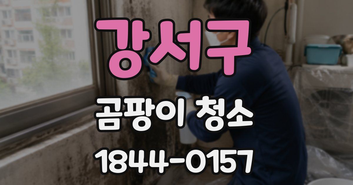 강서구 곰팡이 청소