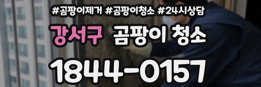 강서구 곰팡이 청소