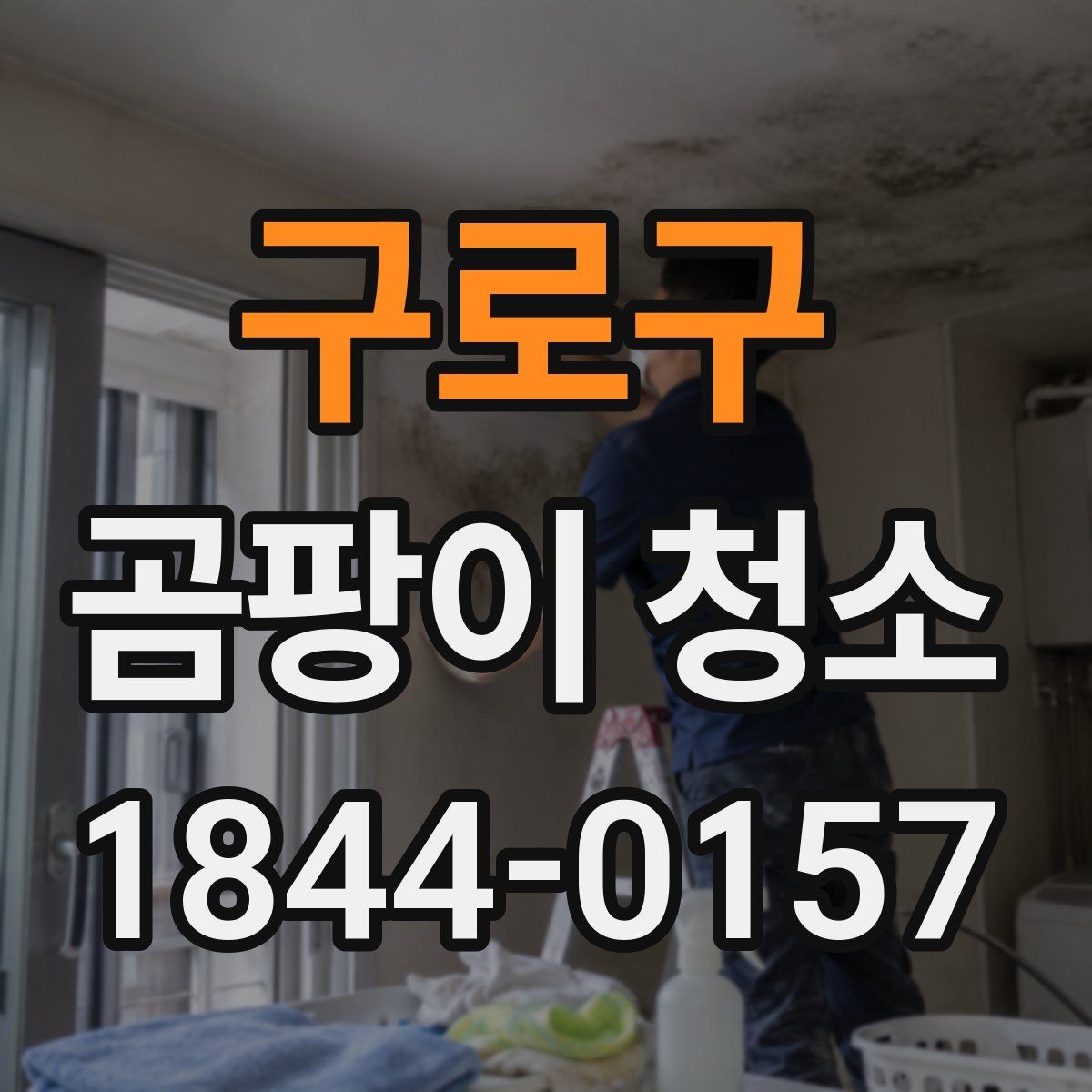 구로구 곰팡이 청소