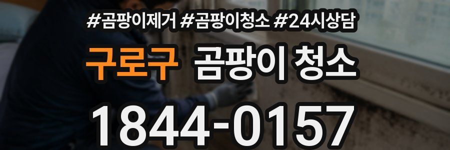 구로구 곰팡이 청소