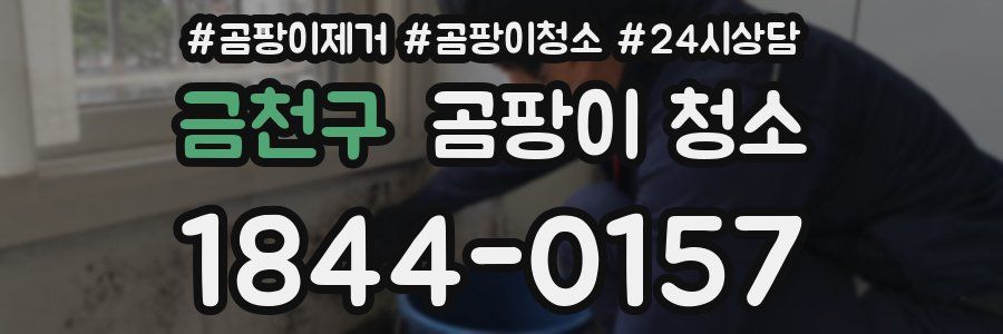금천구 곰팡이 청소