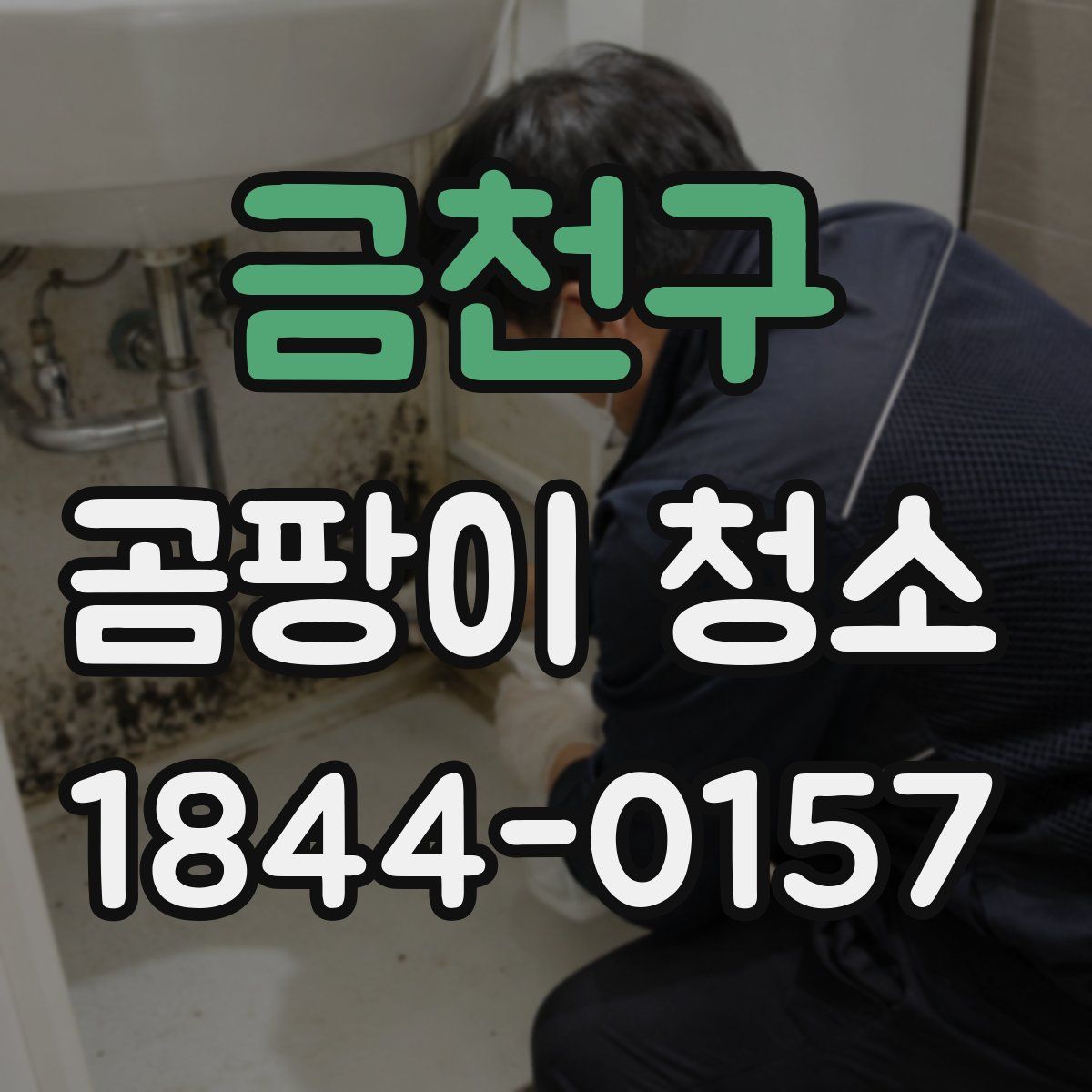 금천구 곰팡이 청소
