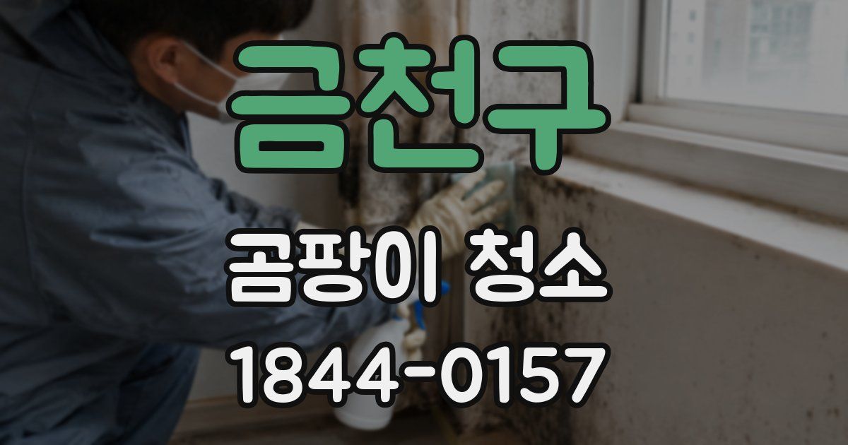 금천구 곰팡이 청소