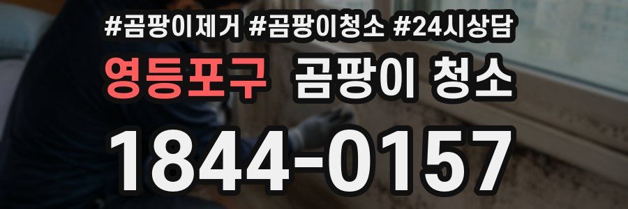 영등포구 곰팡이 청소