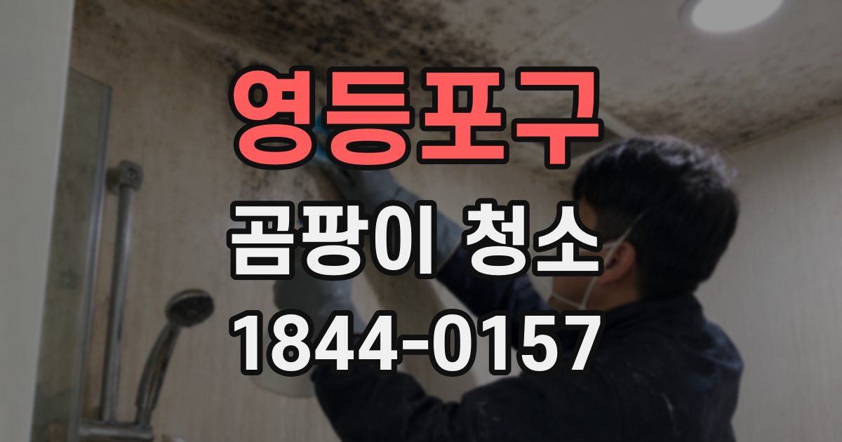 영등포구 곰팡이 청소