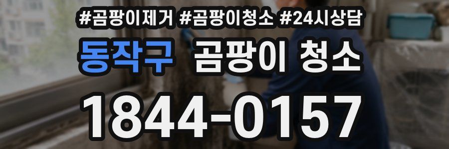 동작구 곰팡이 청소