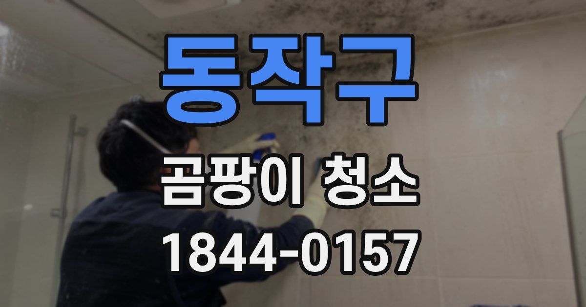 동작구 곰팡이 청소