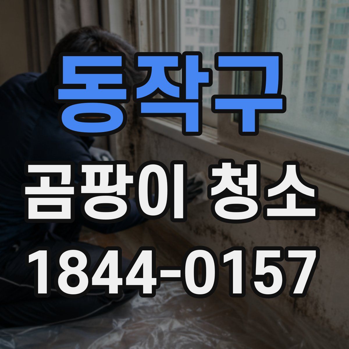 동작구 곰팡이 청소