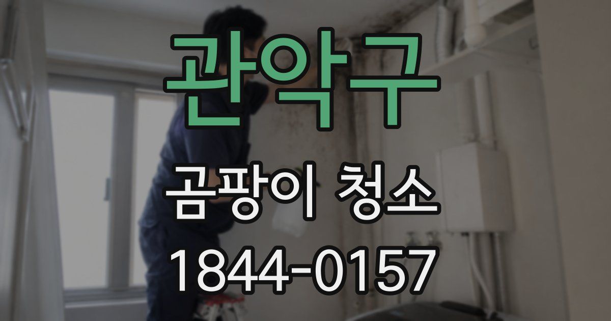 관악구 곰팡이 청소