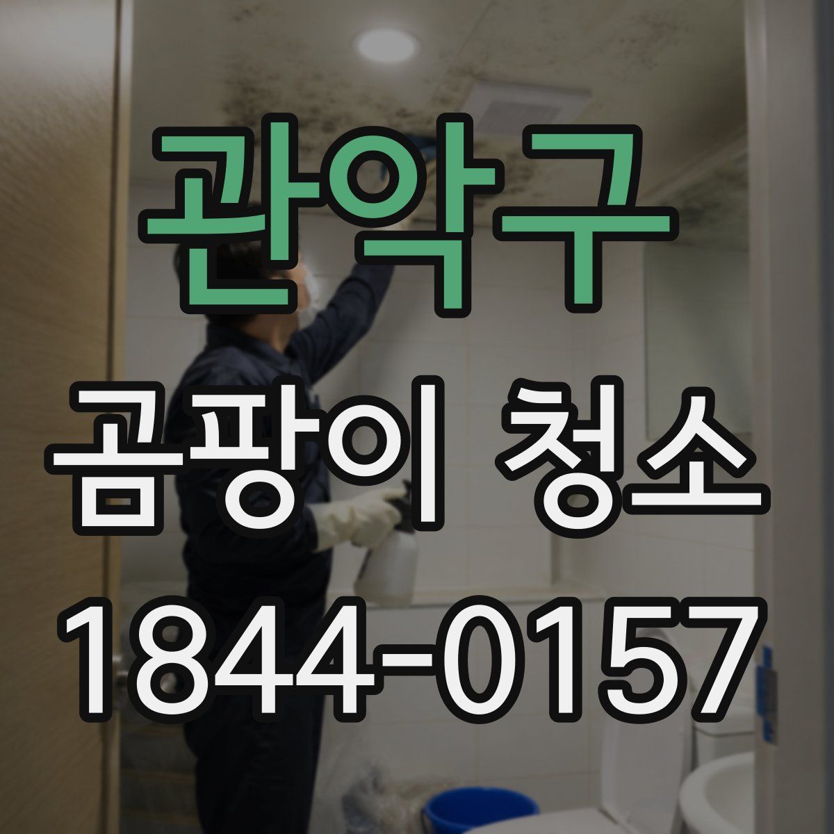 관악구 곰팡이 청소