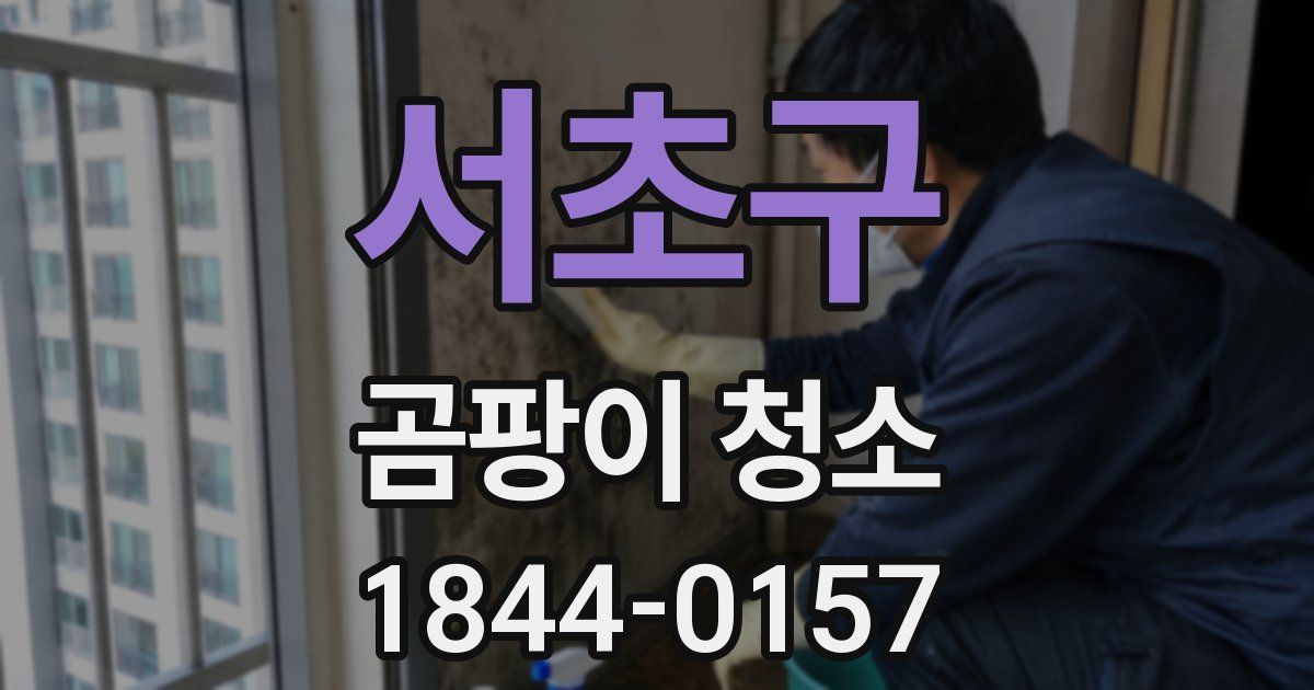 서초구 곰팡이 청소
