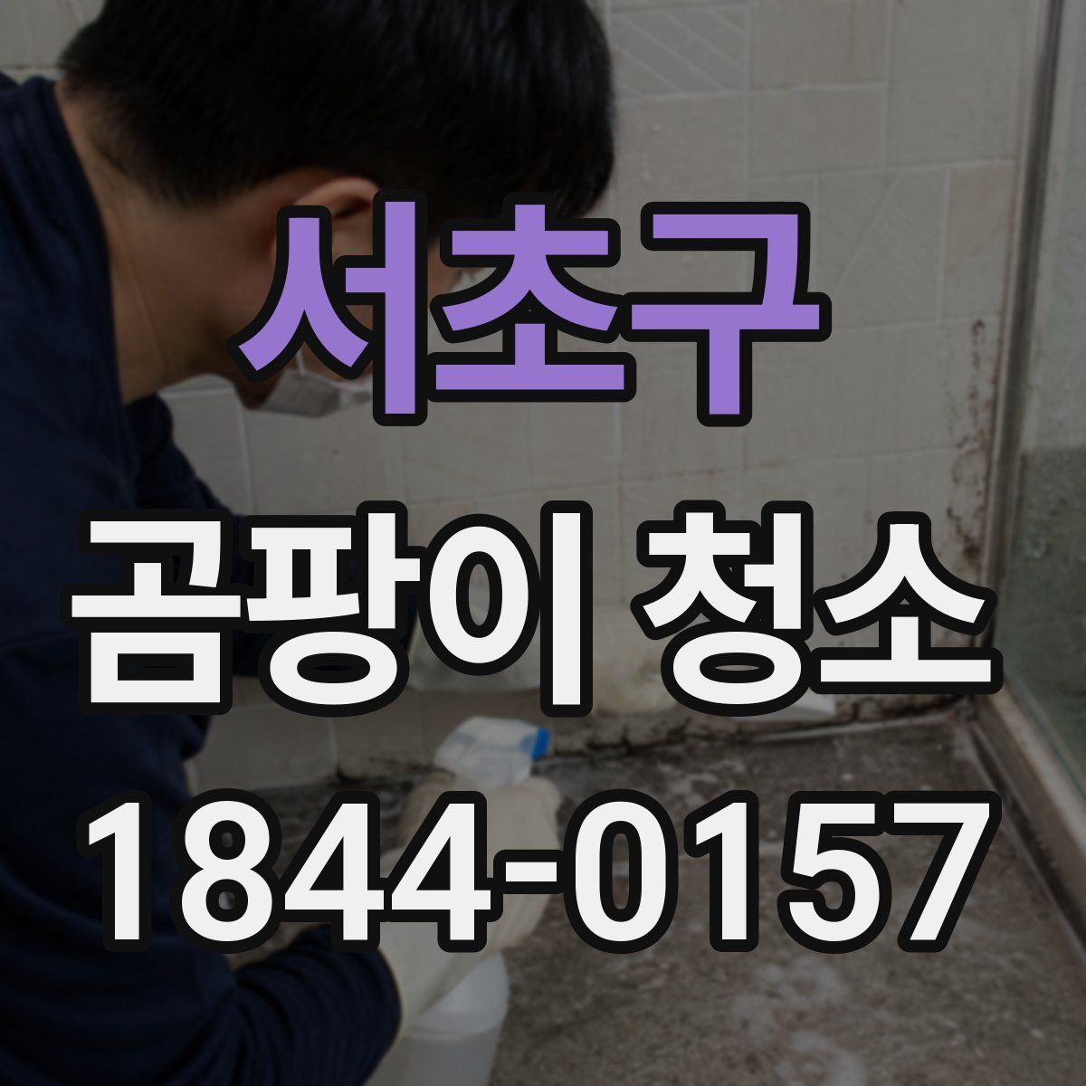 서초구 곰팡이 청소