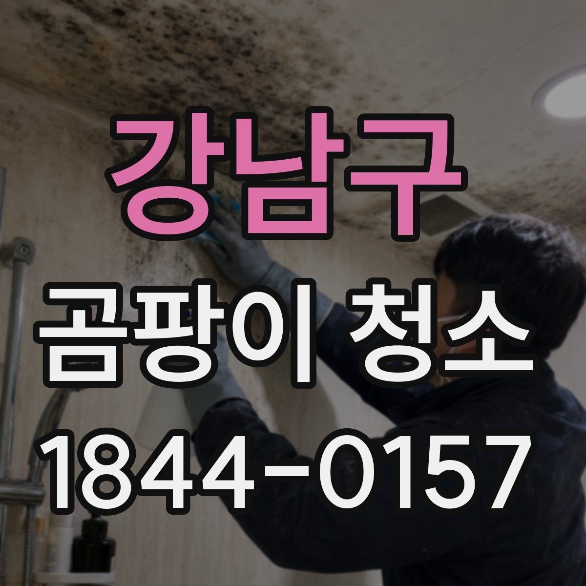 강남구 곰팡이 청소 표면이 손상되지 않게 제거제 쓰는 방법