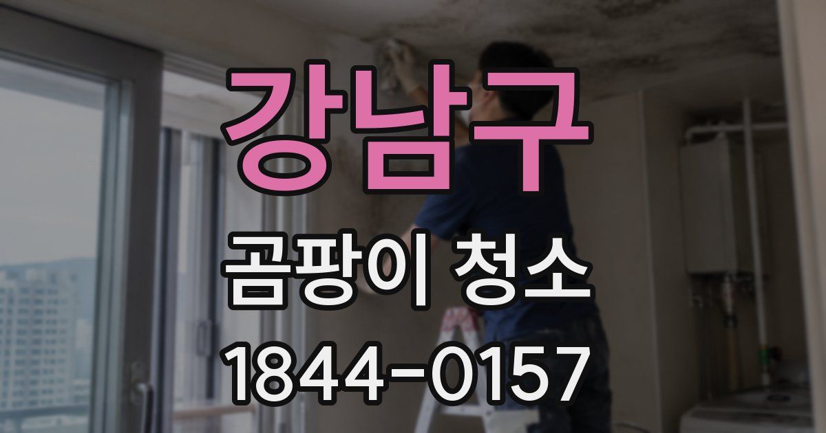강남구 곰팡이 청소