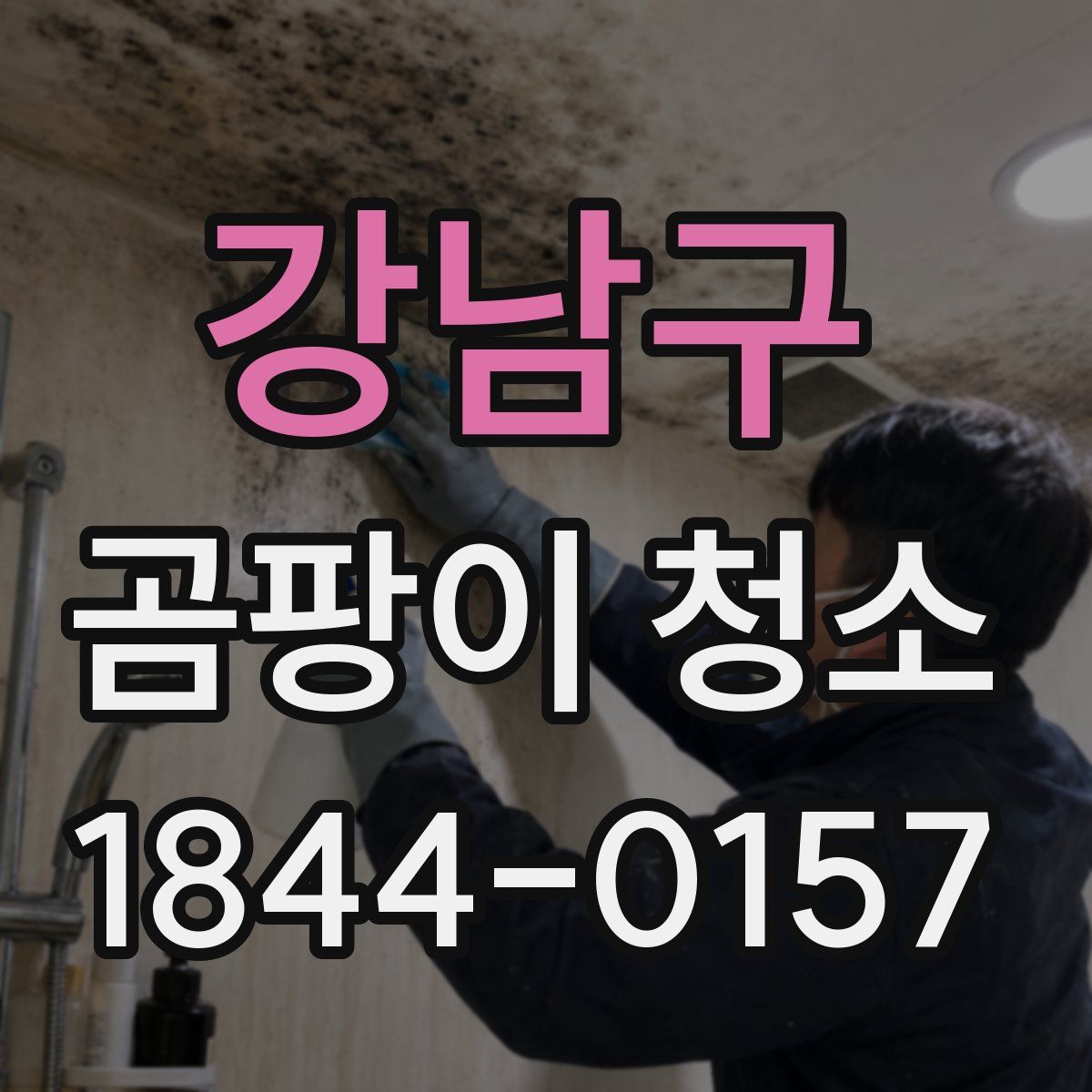 강남구 곰팡이 청소