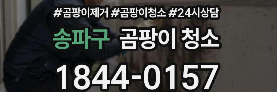 송파구 곰팡이 청소