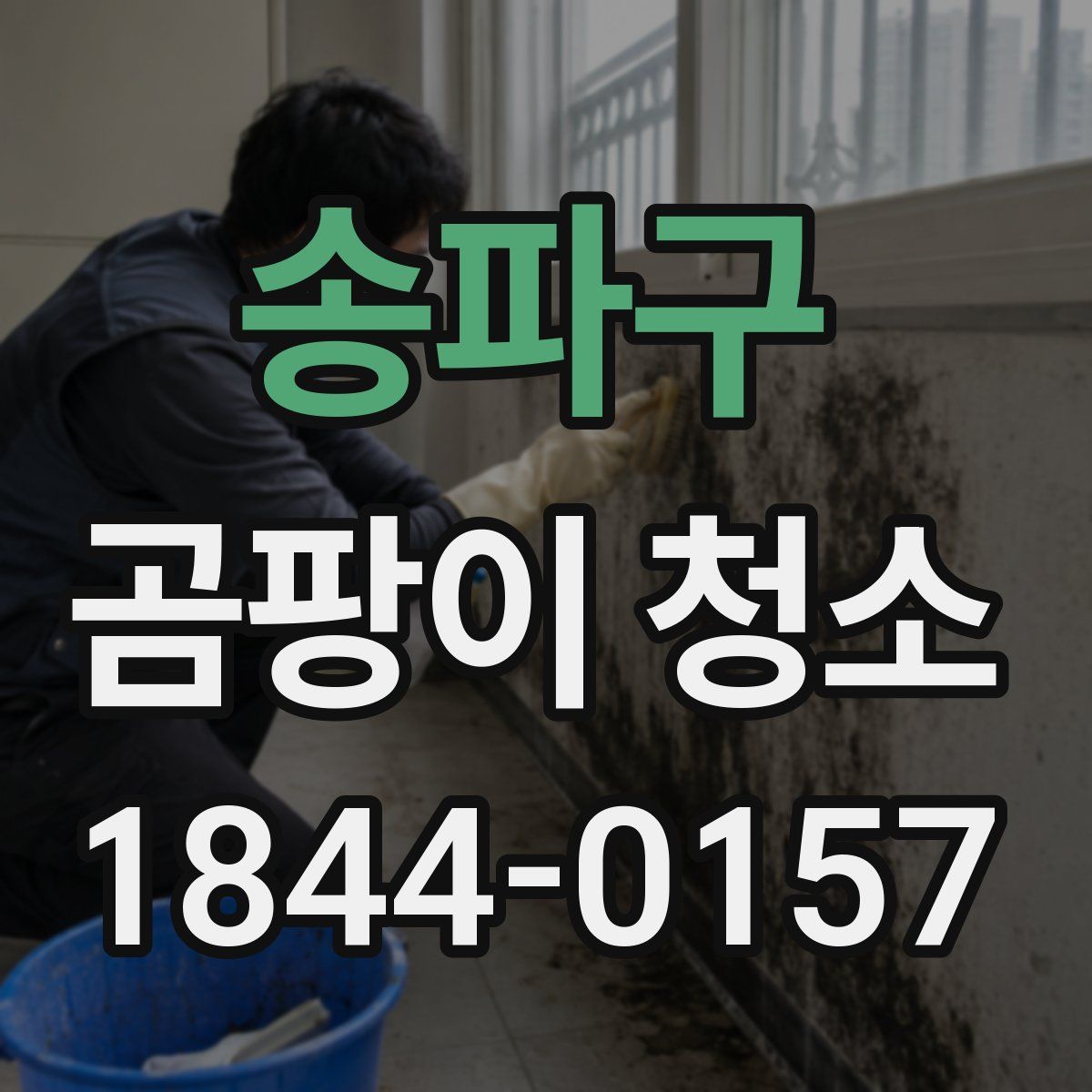 송파구 곰팡이 청소